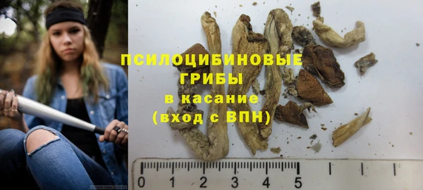 соль ск Бронницы