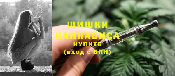 соль ск Бронницы