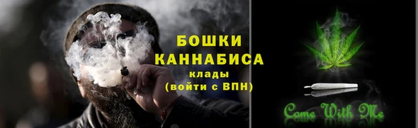 соль ск Бронницы
