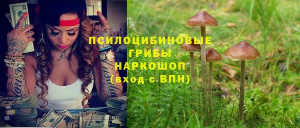 соль ск Бронницы