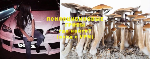 тгк Богородицк